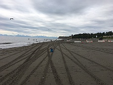 IMG_2462 Cook Inlet Beach